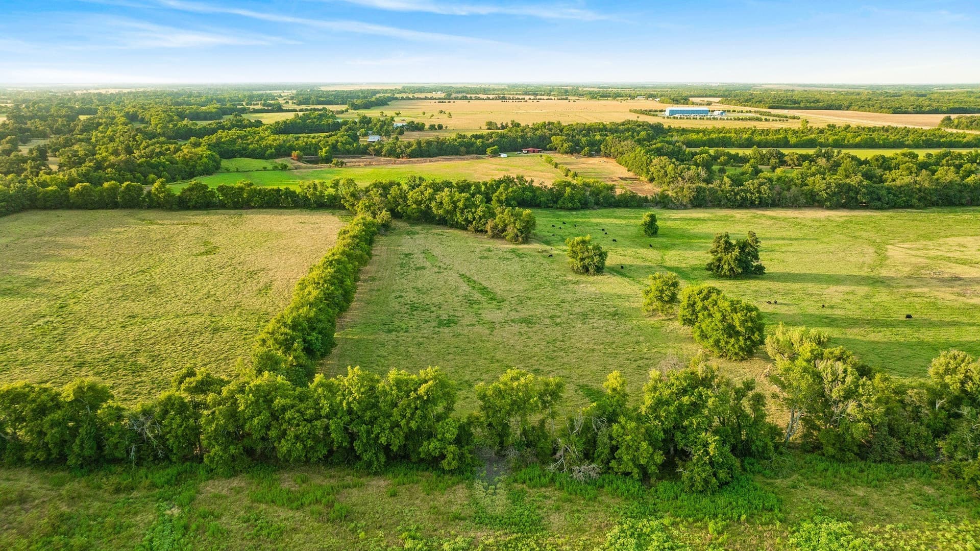 67.33 acres in Lamar County - photo 13