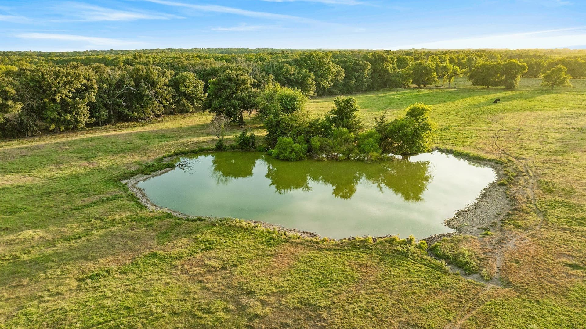 67.33 acres in Lamar County - photo 27