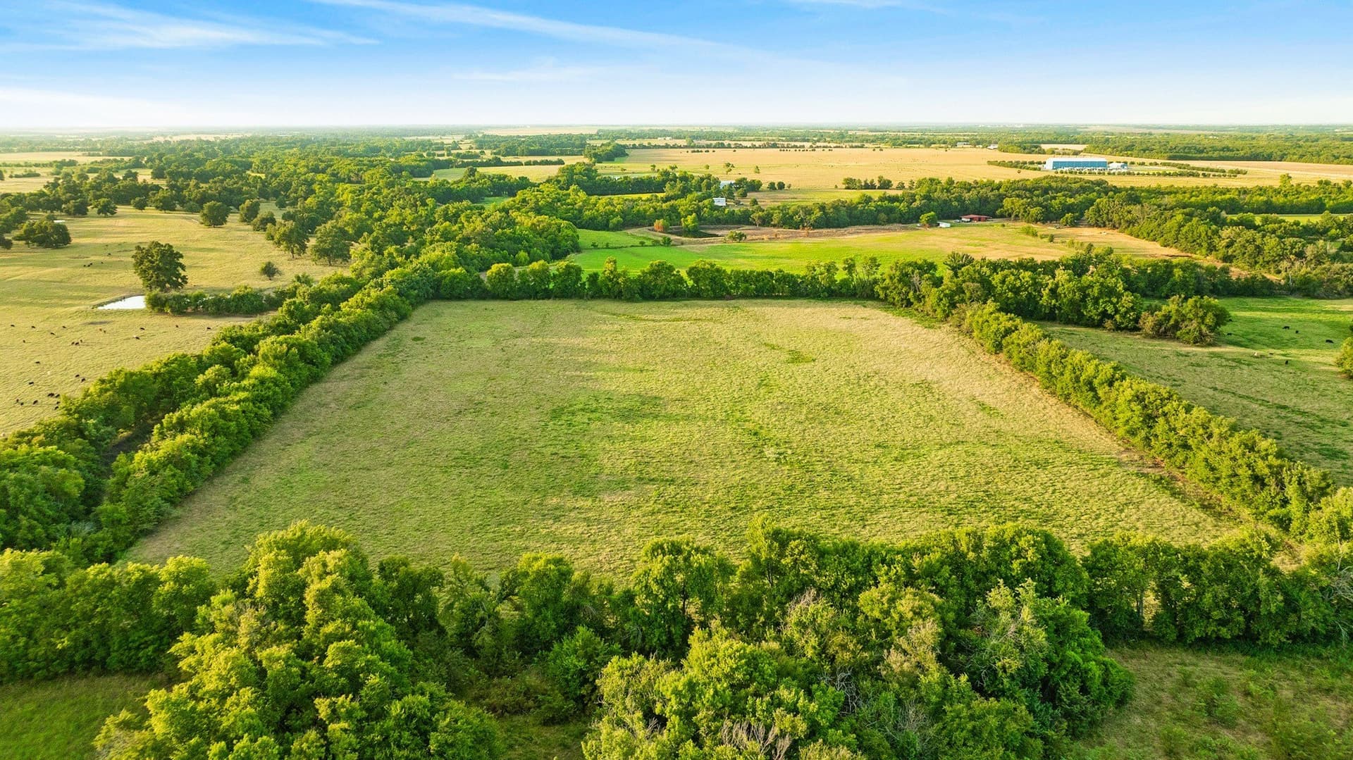 67.33 acres in Lamar County - photo 12