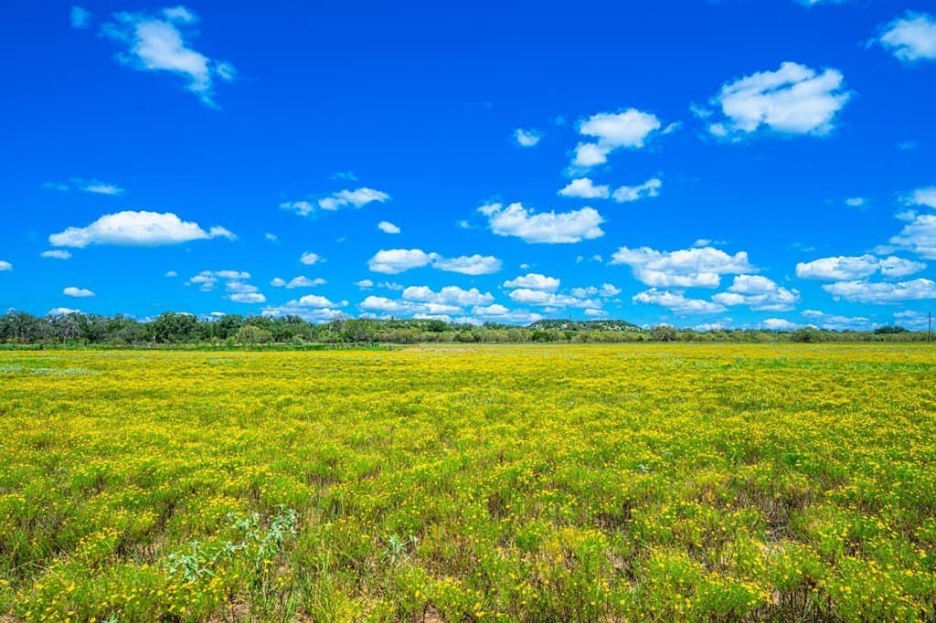 100.12 acres in Gillespie County - photo 21