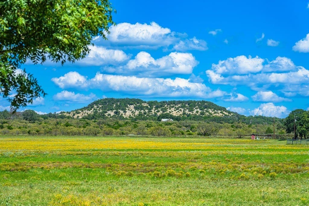 100.12 acres in Gillespie County - photo 24