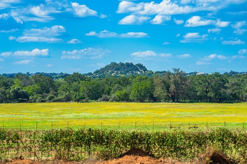 100.12 acres in Gillespie County - photo 31