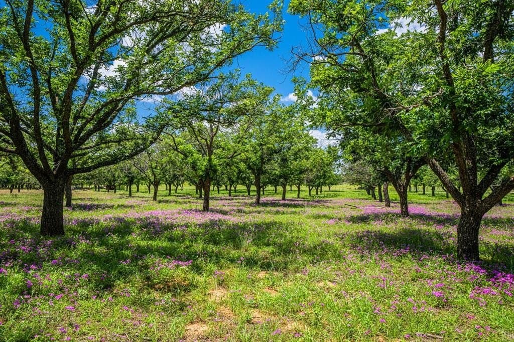 100.12 acres in Gillespie County - photo 67