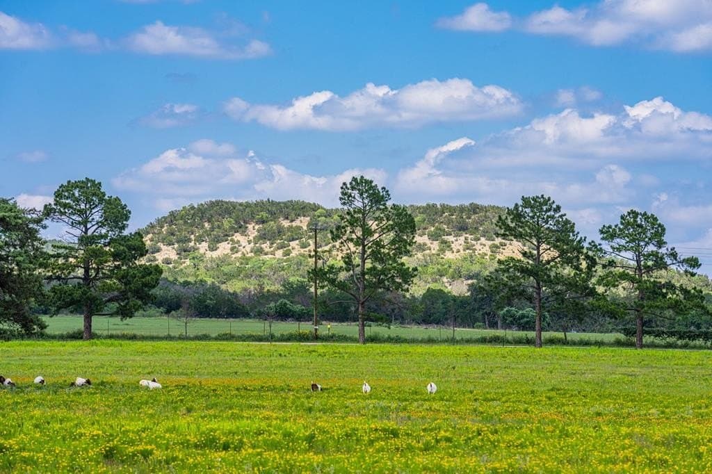 100.12 acres in Gillespie County - photo 70