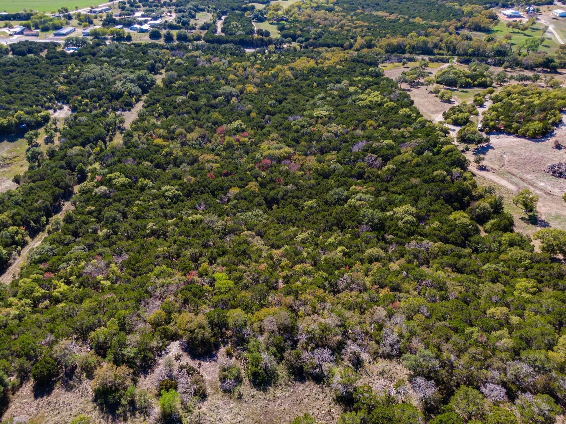 20 acres in Bosque County - photo 13