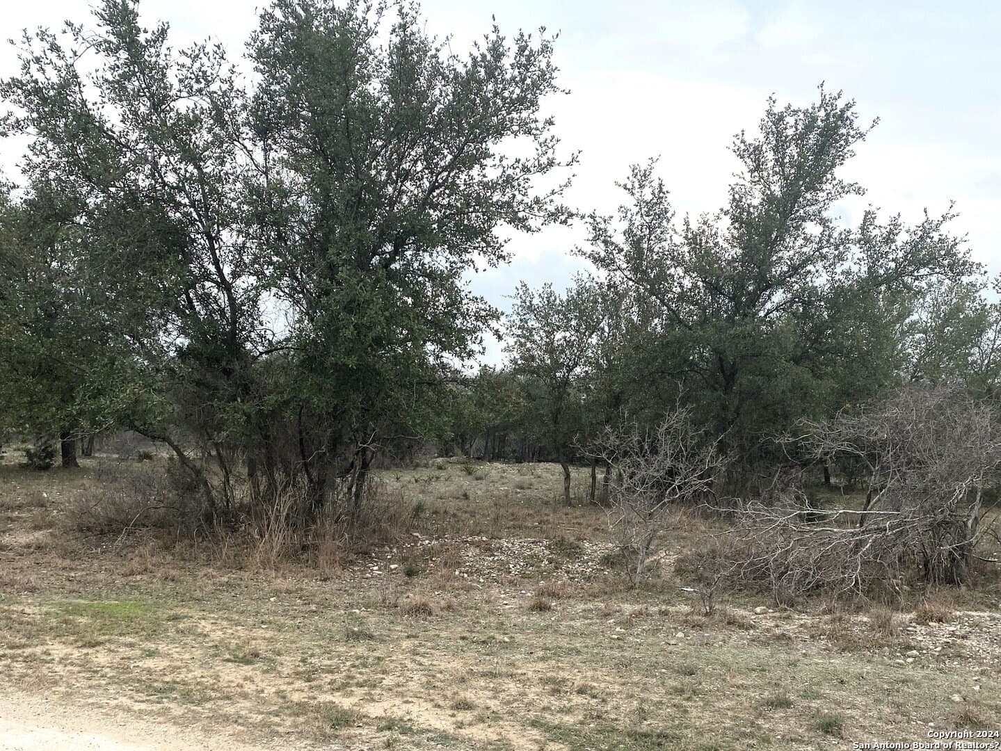 0.47 acres in Bandera County gallery image 4