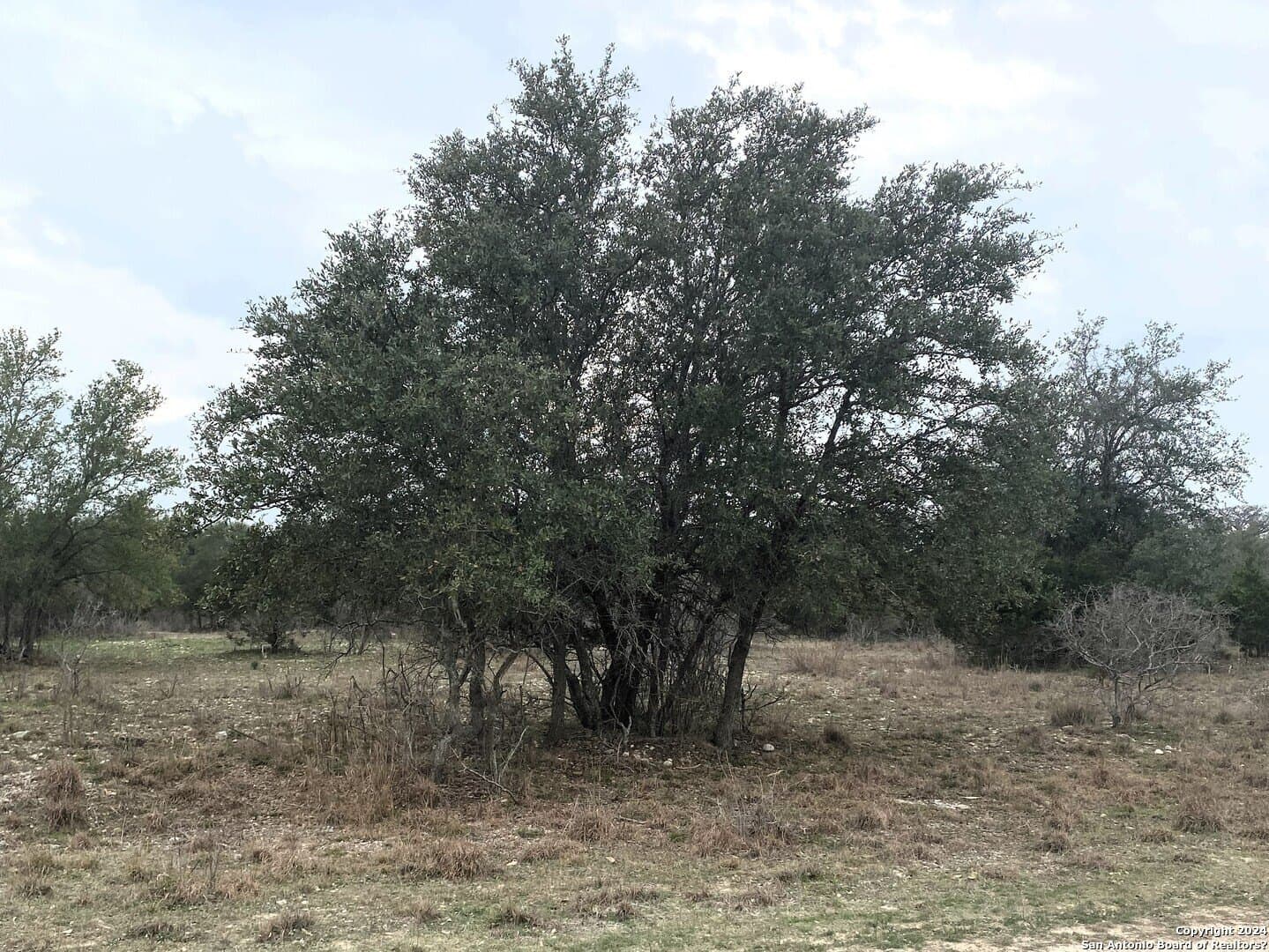 0.47 acres in Bandera County gallery image 3