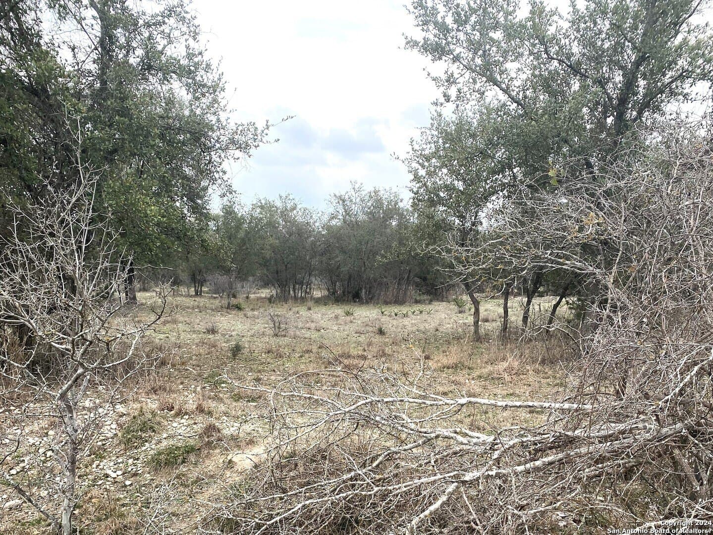0.47 acres in Bandera County - photo 7