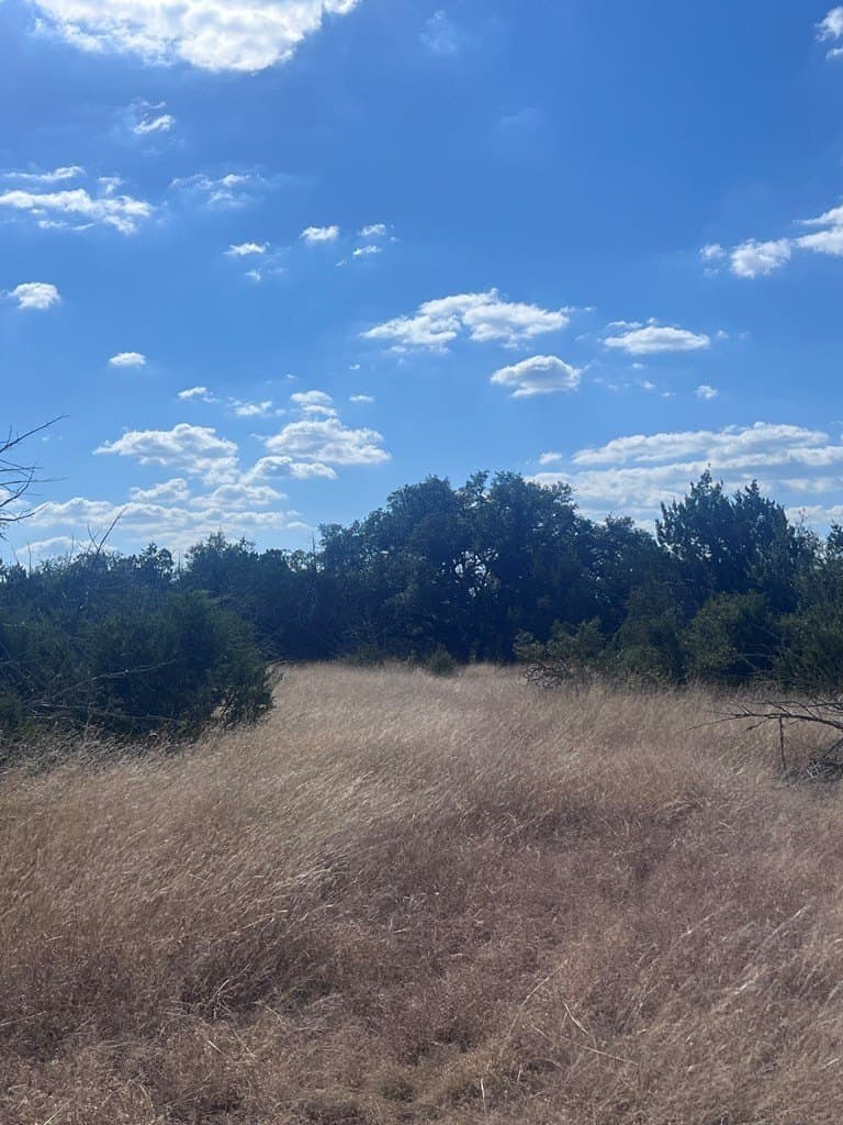 19.76 acres in Real County - photo 19