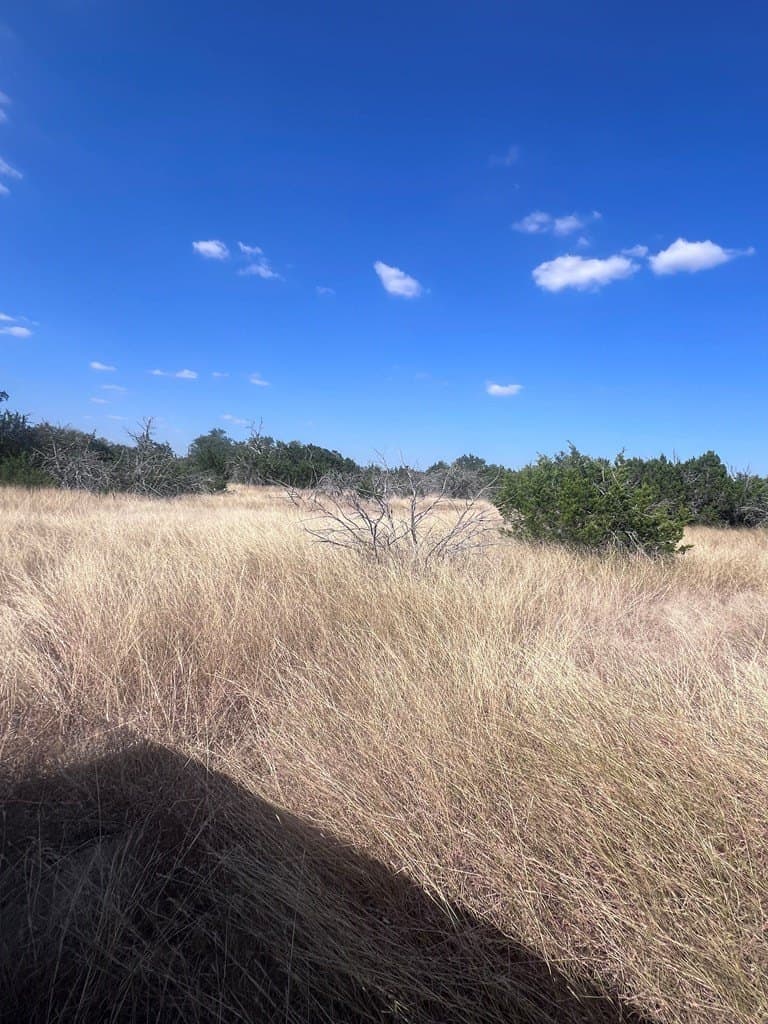 19.76 acres in Real County - photo 12