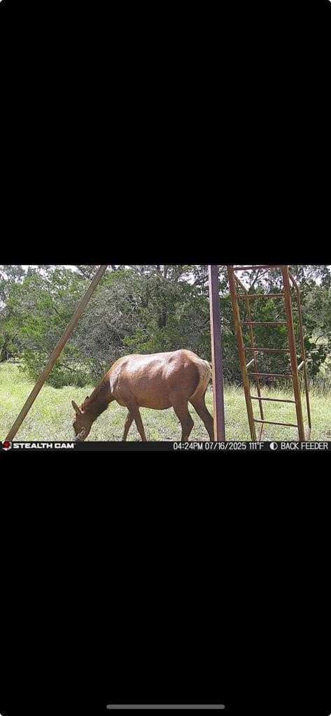 19.76 acres in Real County - photo 27