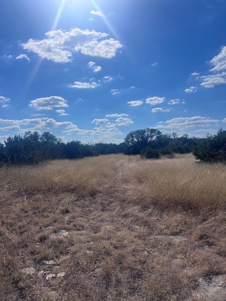 19.76 acres in Real County - photo 16
