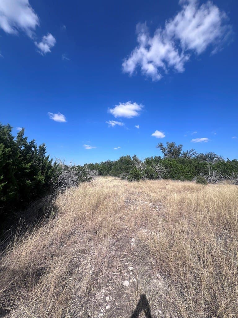 19.76 acres in Real County - photo 8