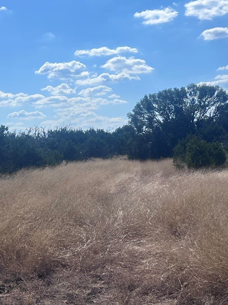 19.76 acres in Real County - photo 17