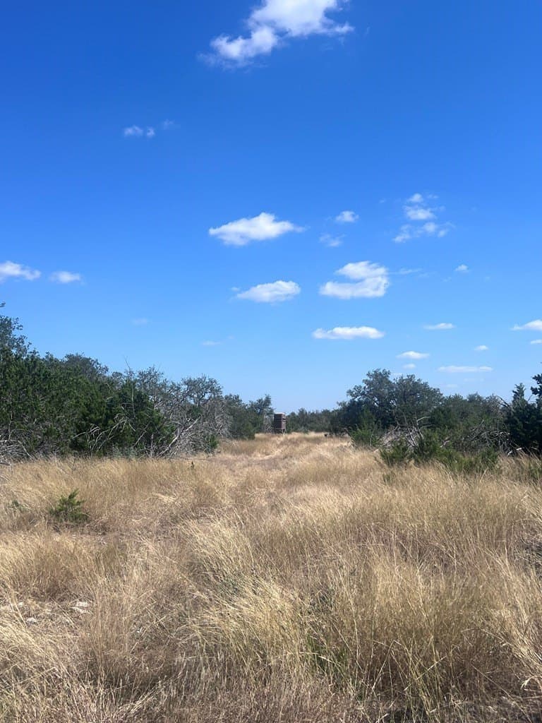 19.76 acres in Real County - photo 9