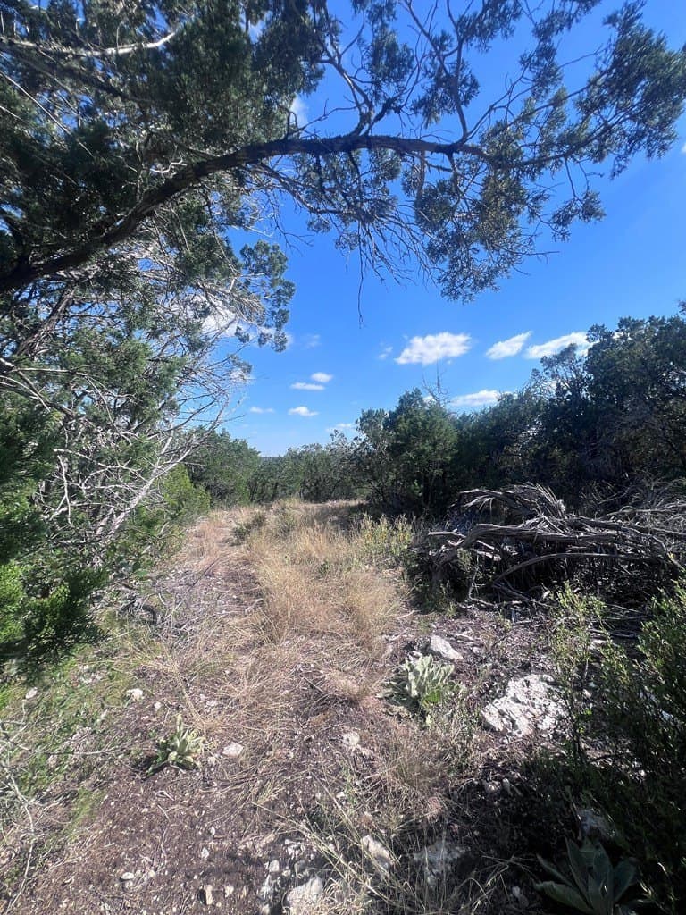 19.76 acres in Real County - photo 14