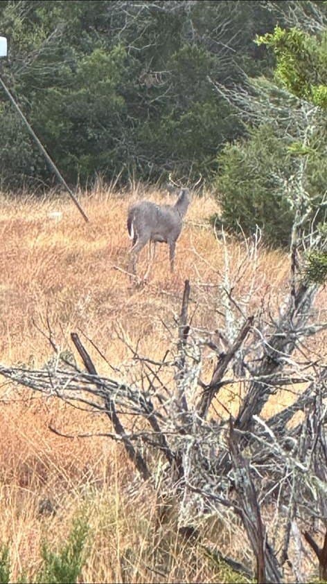 19.76 acres in Real County - photo 23