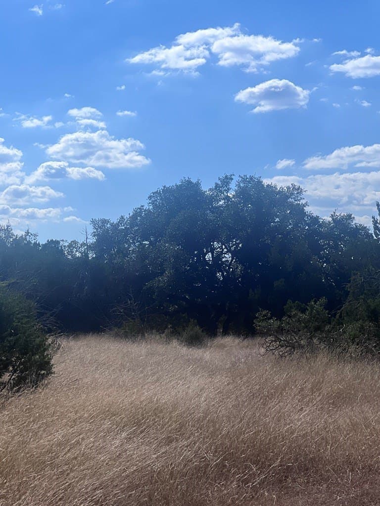 19.76 acres in Real County - photo 18