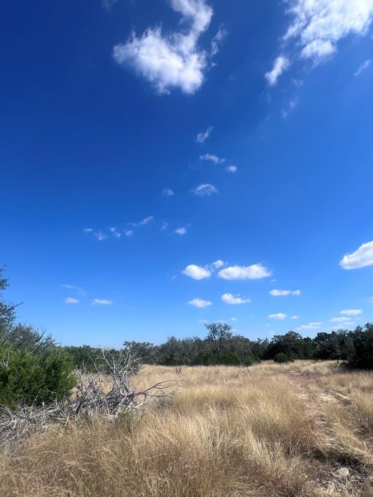 19.76 acres in Real County - photo 13