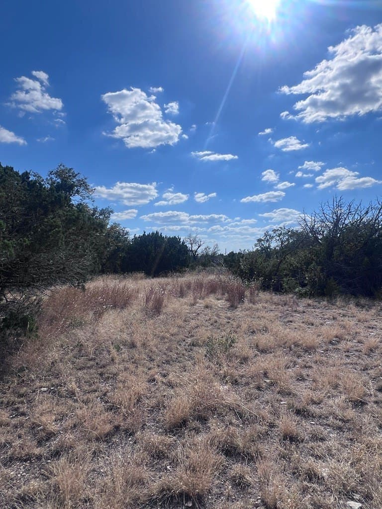 19.76 acres in Real County - photo 11
