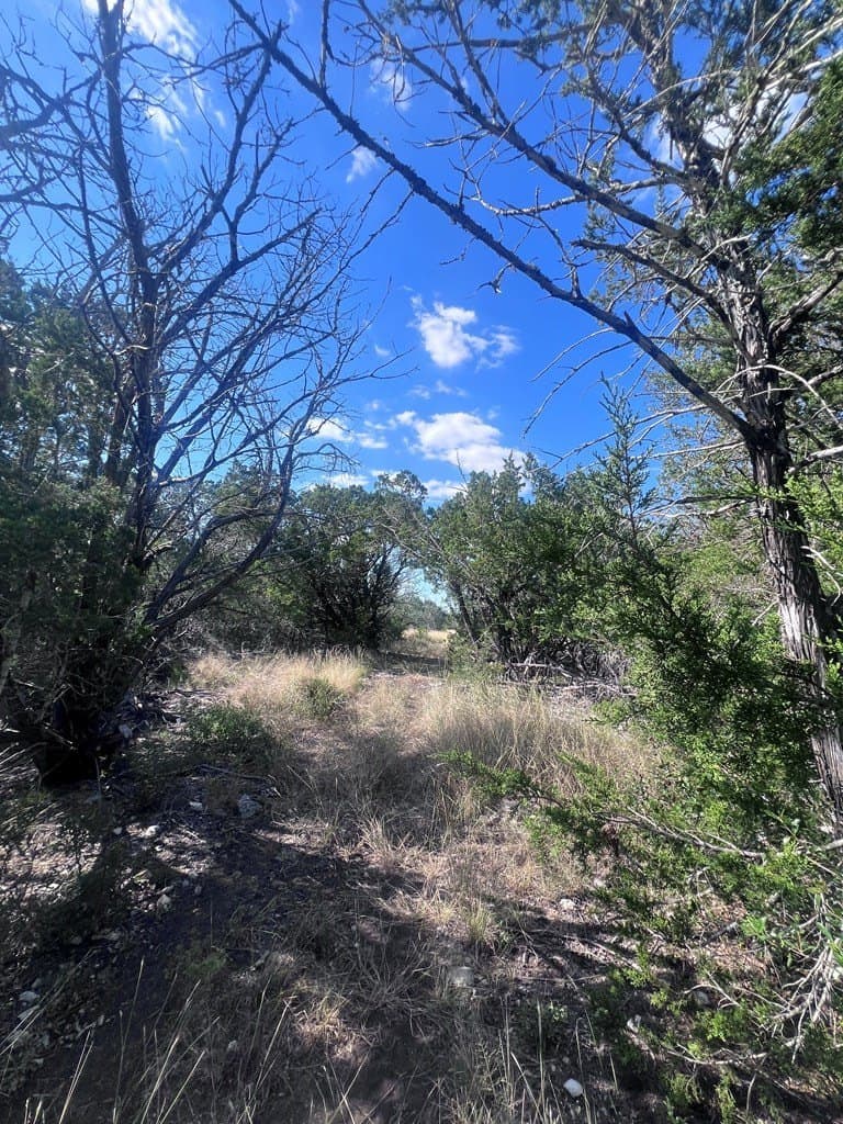 19.76 acres in Real County - photo 15