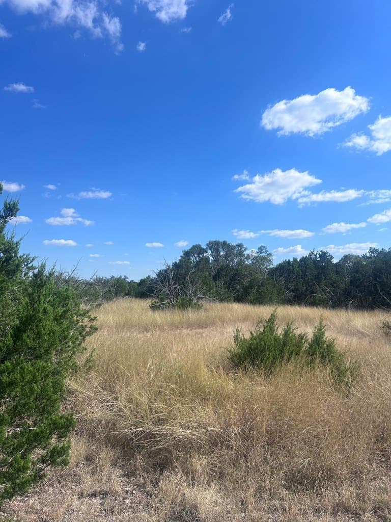 19.76 acres in Real County - photo 6