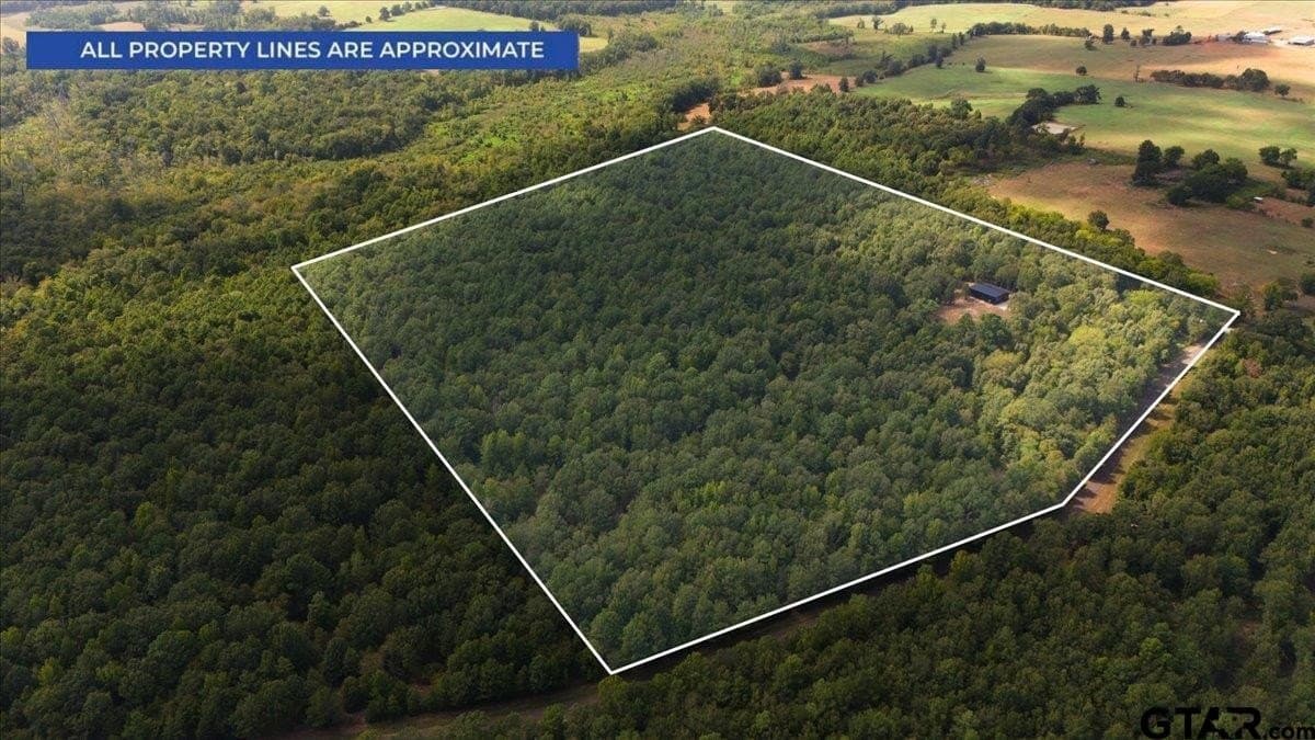 38 acres in Cherokee County - photo 13