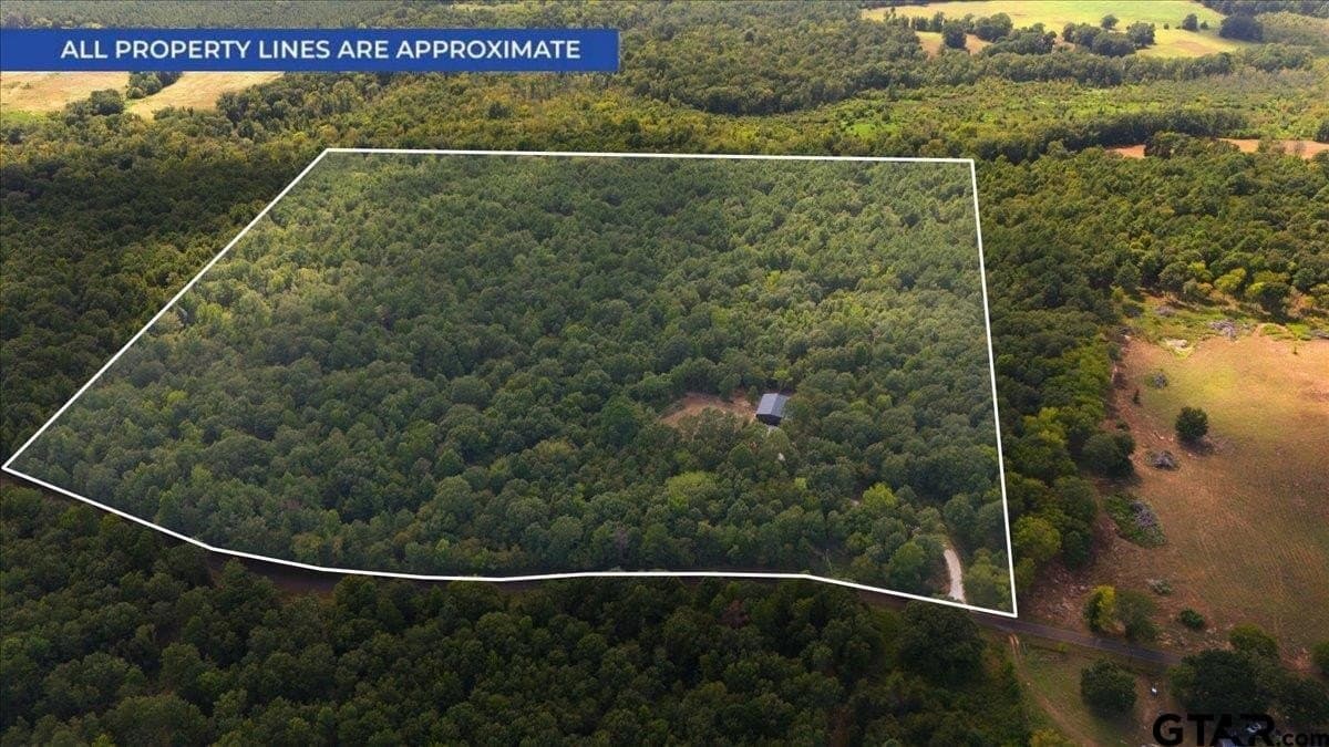 38 acres in Cherokee County - photo 18
