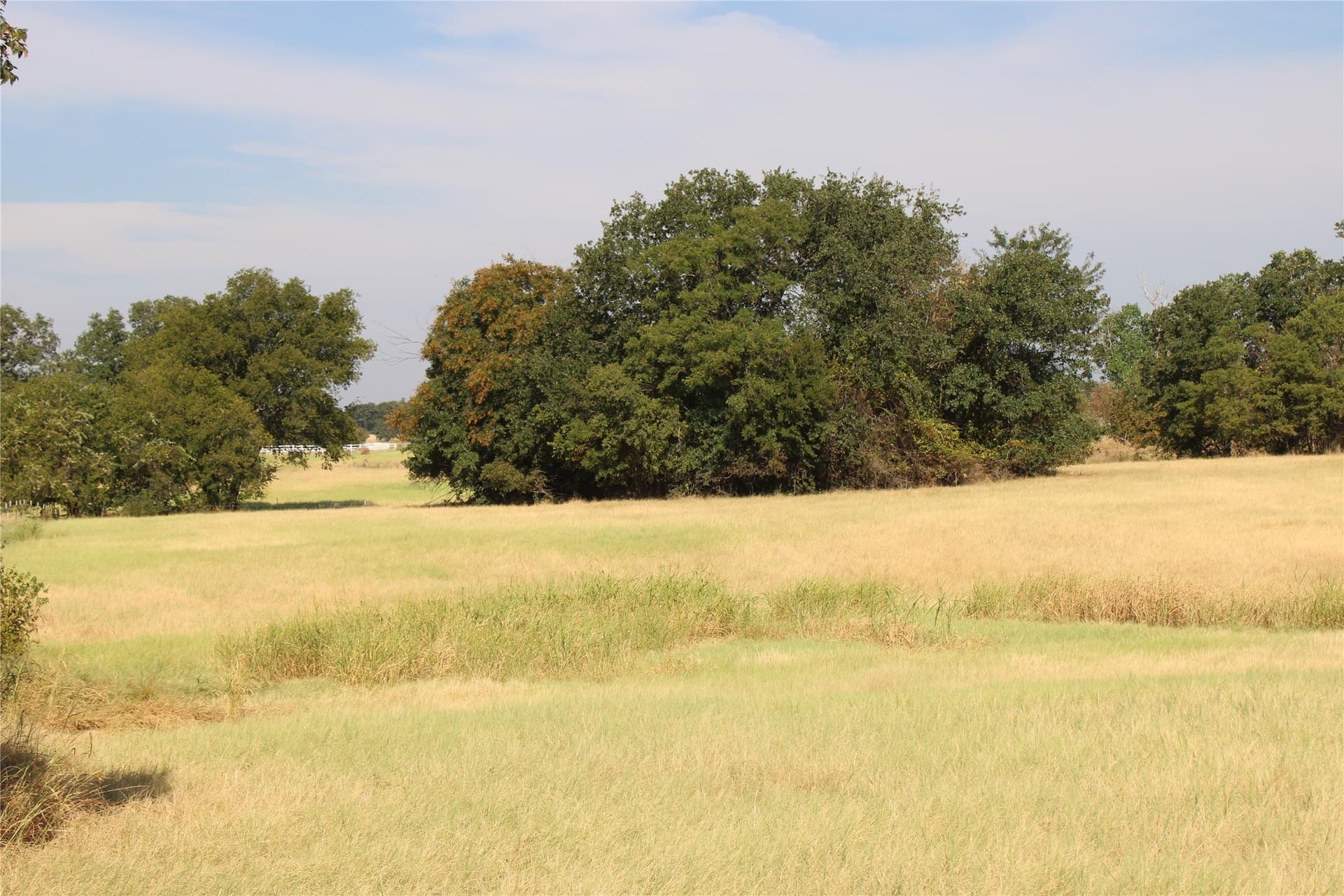 20 acres in Wise County - photo 10