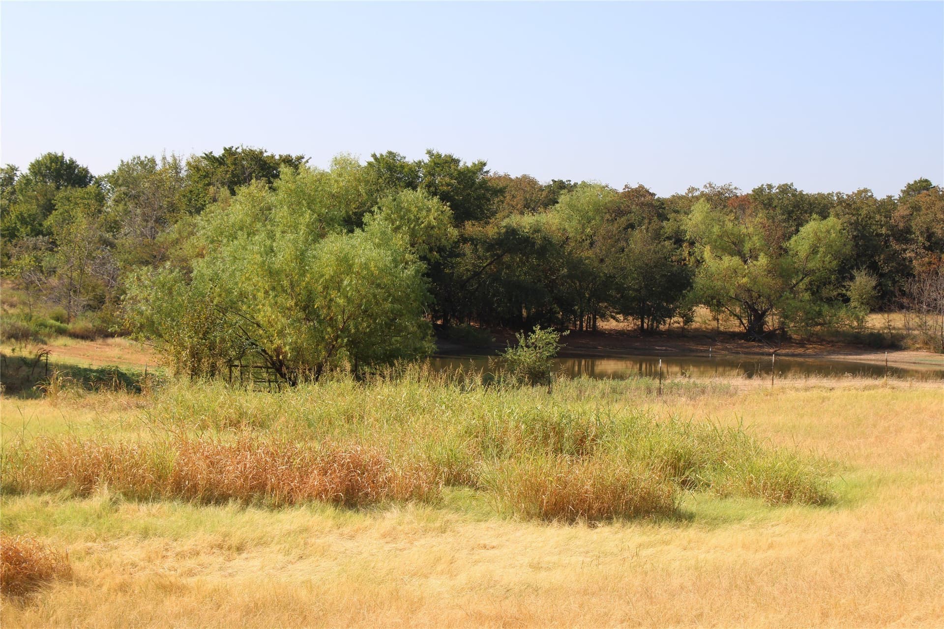 20 acres in Wise County - photo 9
