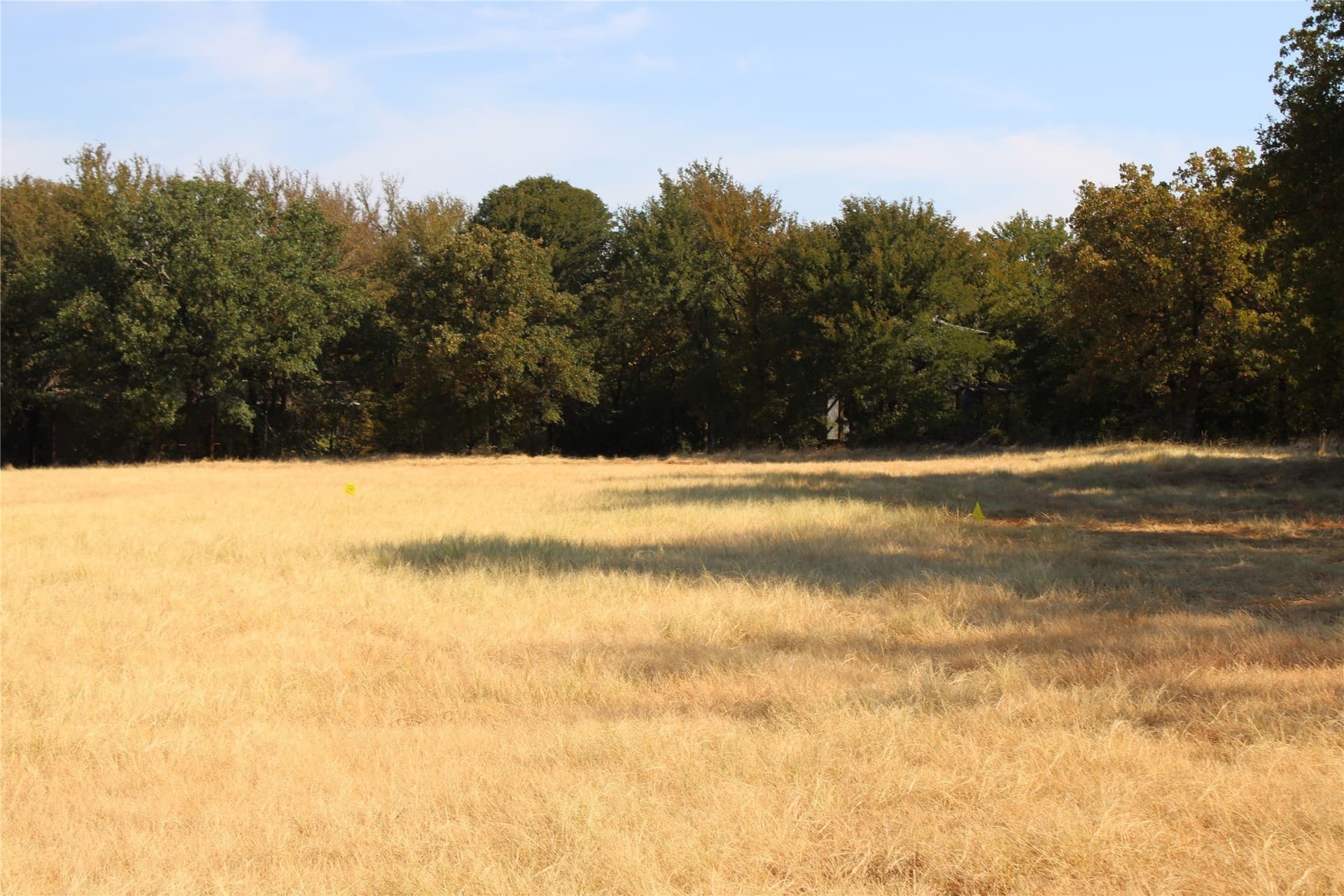 20 acres in Wise County - photo 6