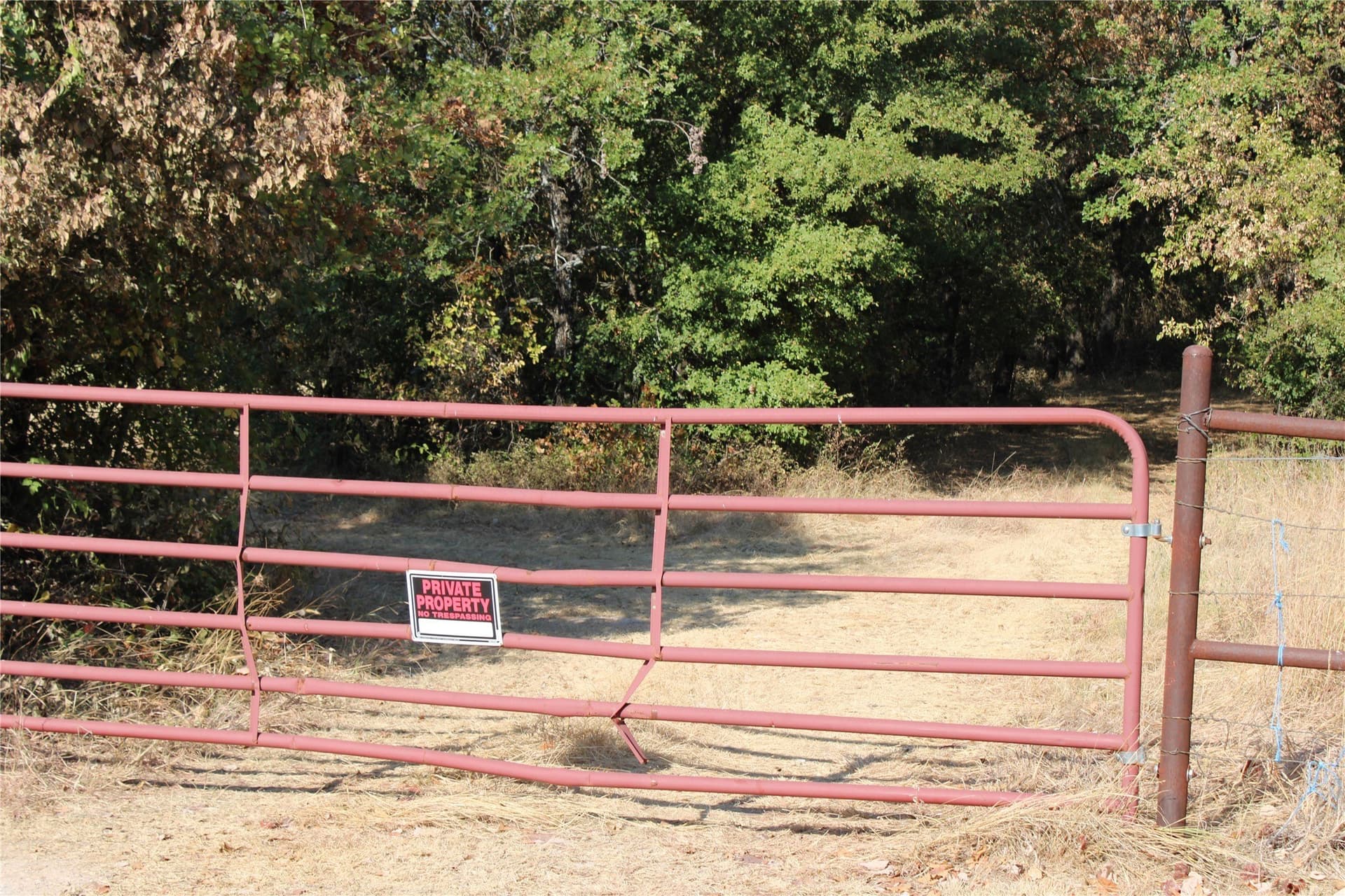 20 acres in Wise County - photo 4