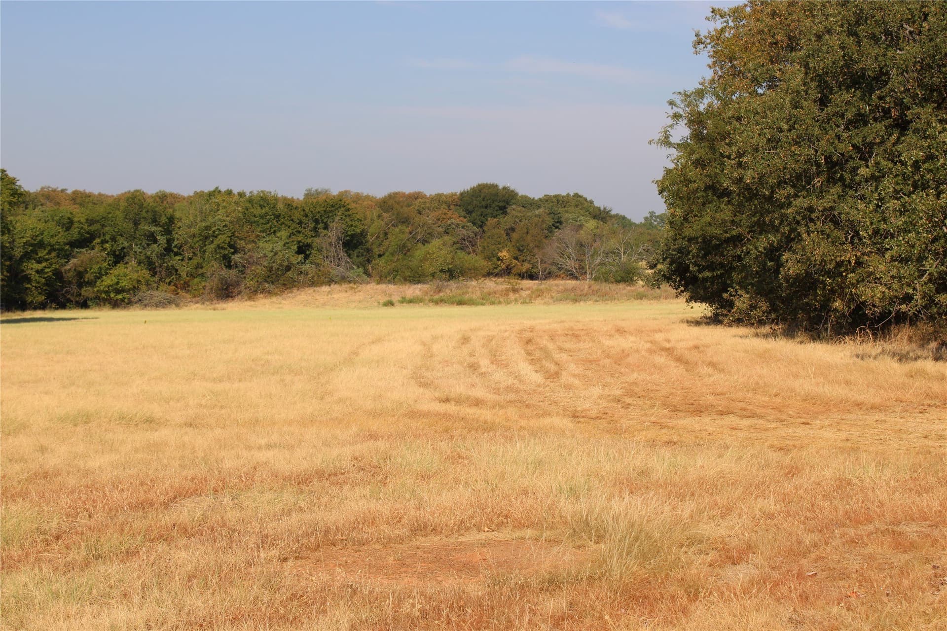 20 acres in Wise County - photo 2