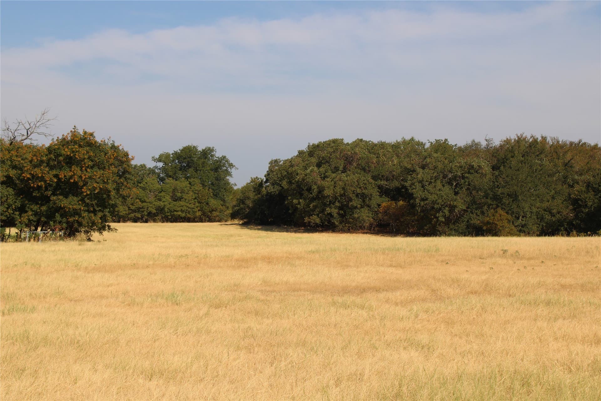 20 acres in Wise County - photo 5