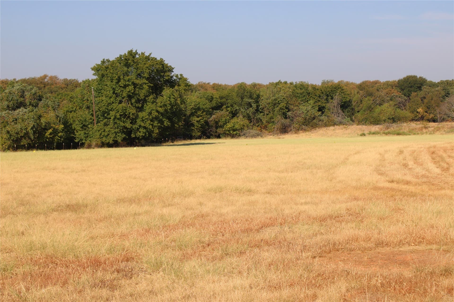 20 acres in Wise County - photo 3