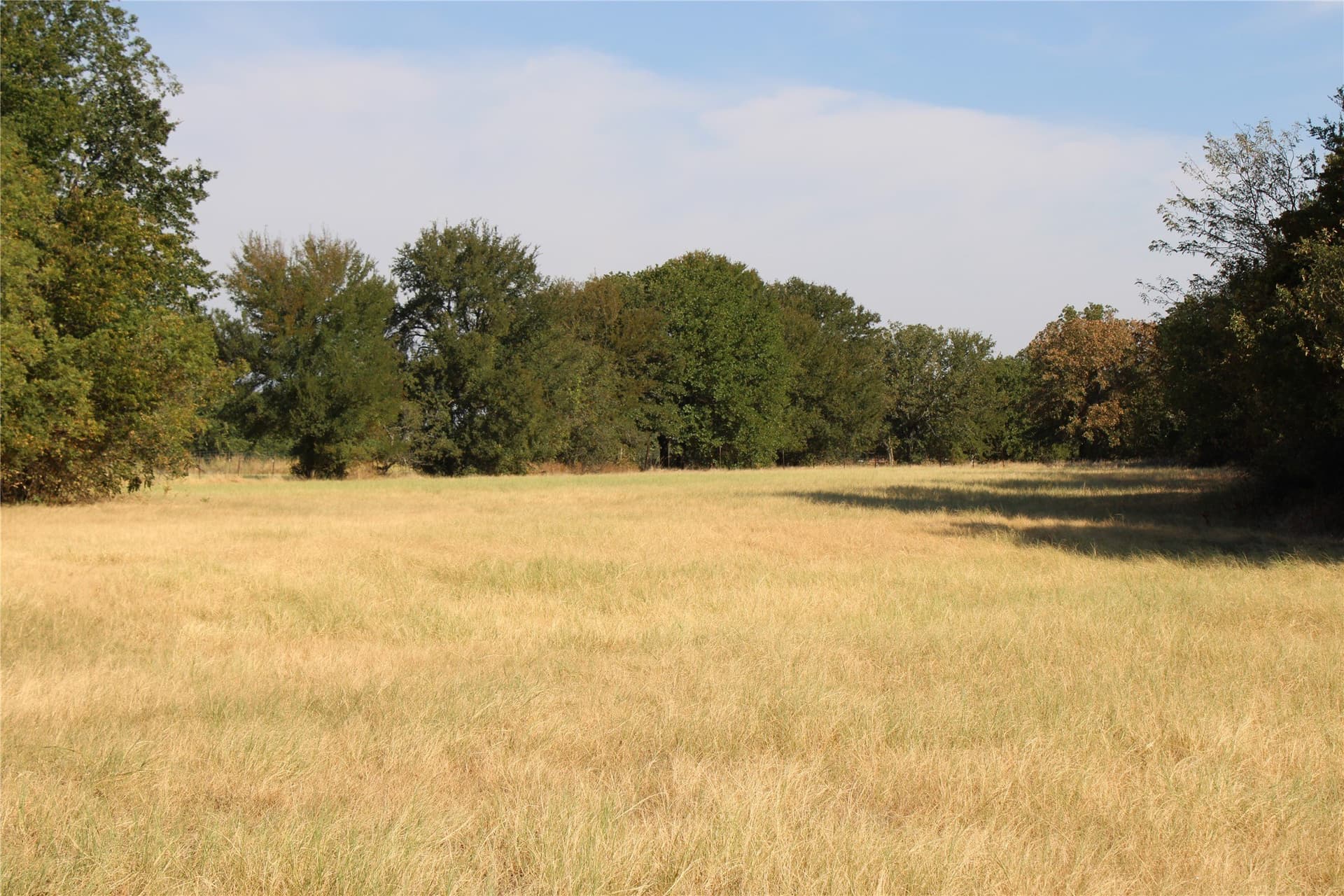 20 acres in Wise County - photo 8