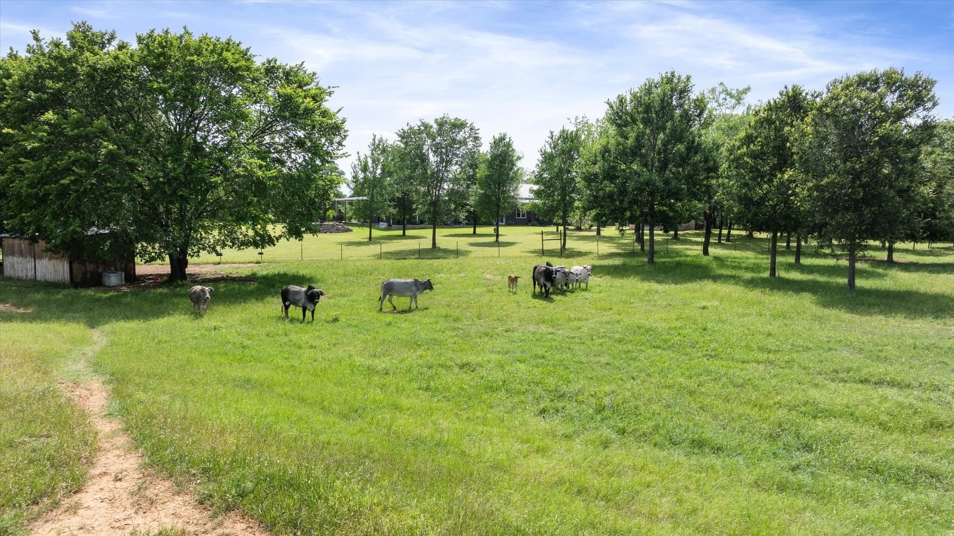 11.8 acres in Johnson County - photo 40
