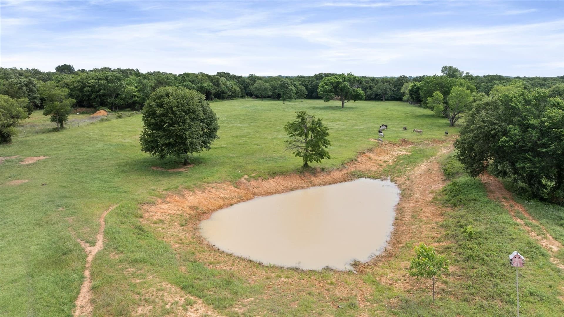 11.8 acres in Johnson County - photo 38