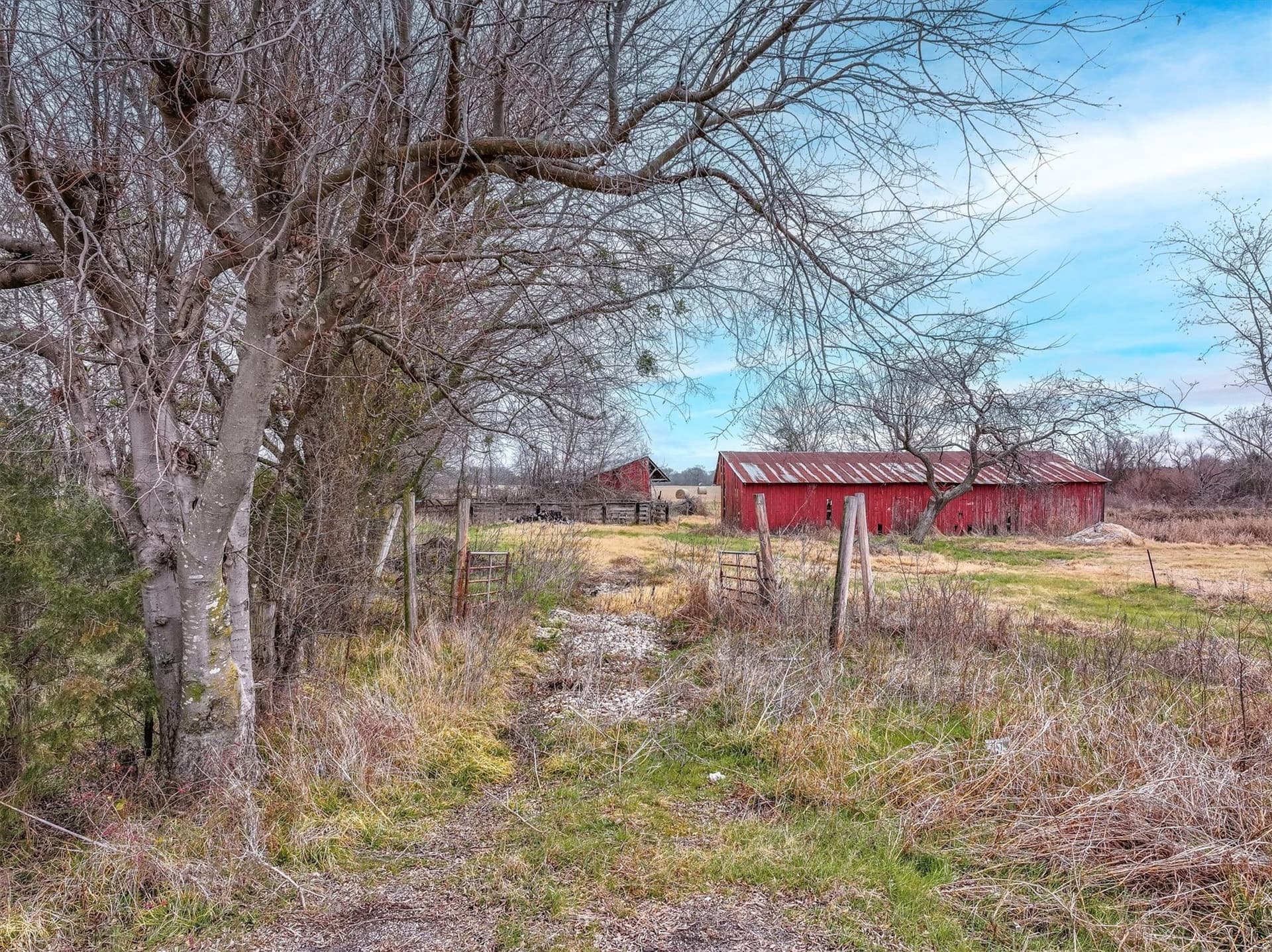 46.59 acres in Kaufman County - photo 8