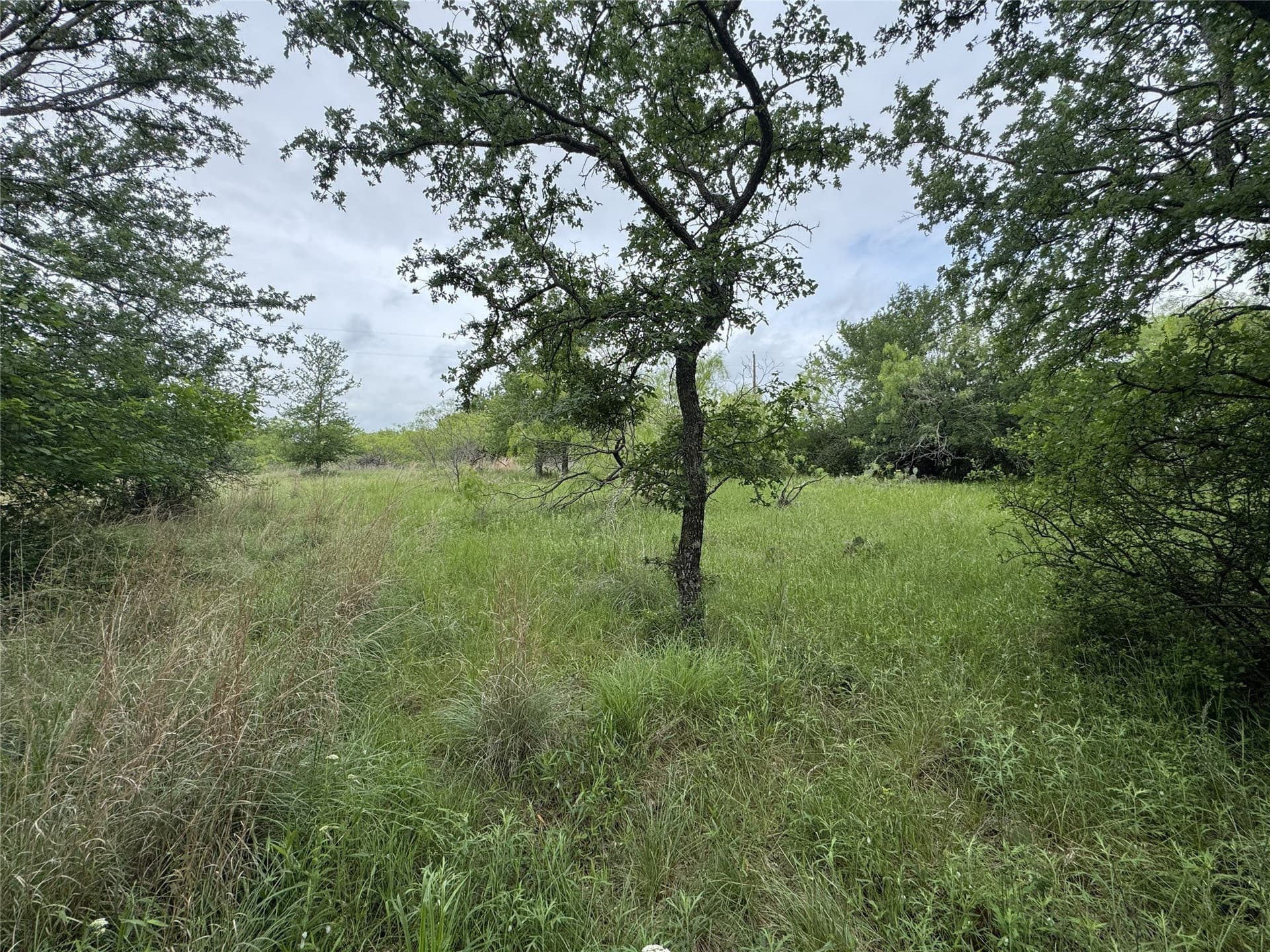 1.51 acres in Wise County - photo 37