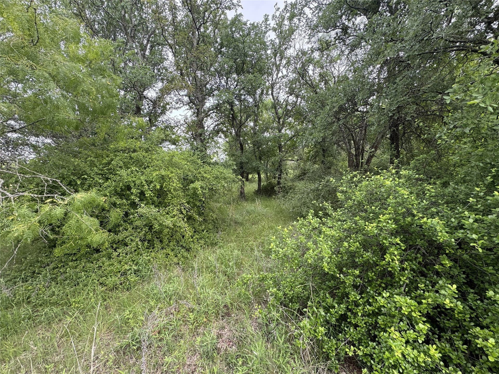 1.51 acres in Wise County - photo 34