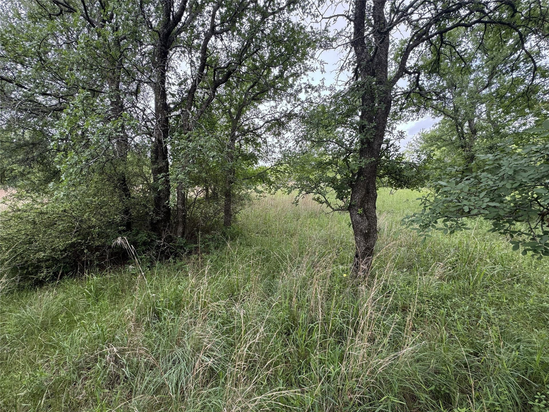 1.51 acres in Wise County - photo 35