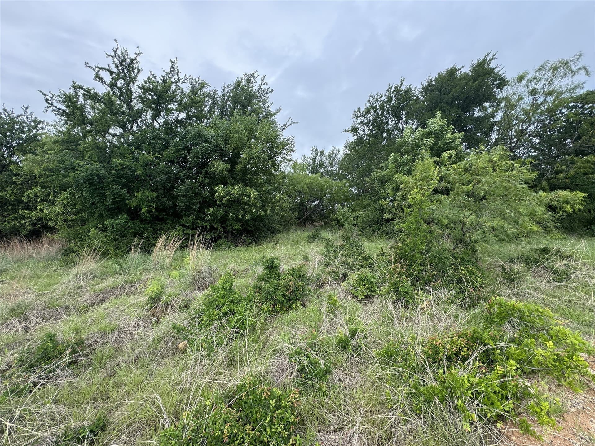 1.51 acres in Wise County - photo 33