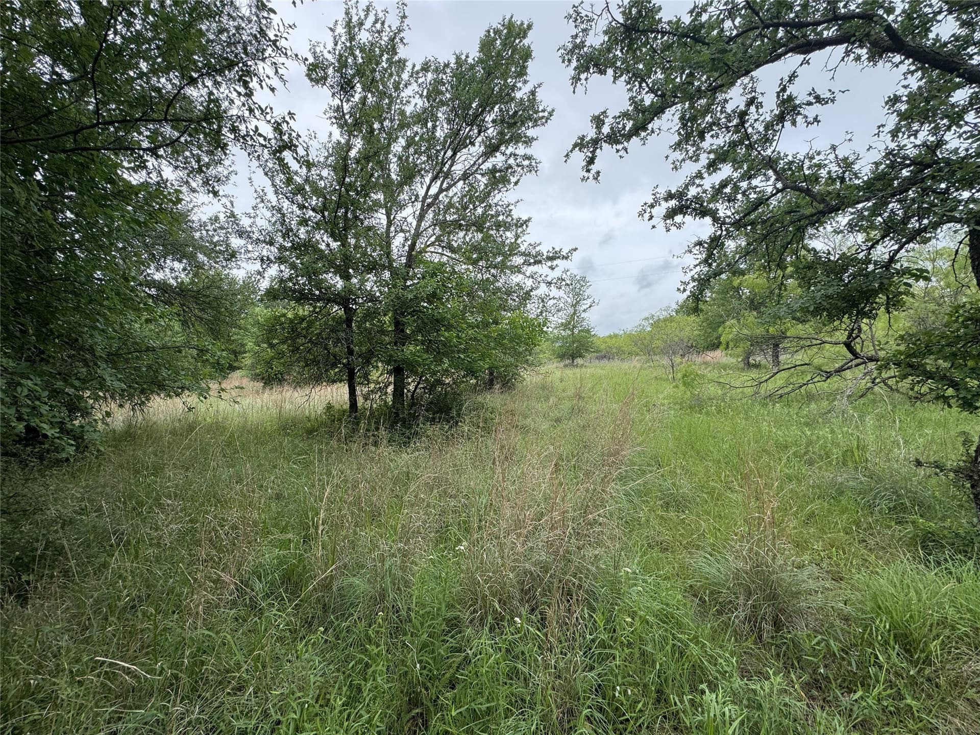 1.51 acres in Wise County - photo 36