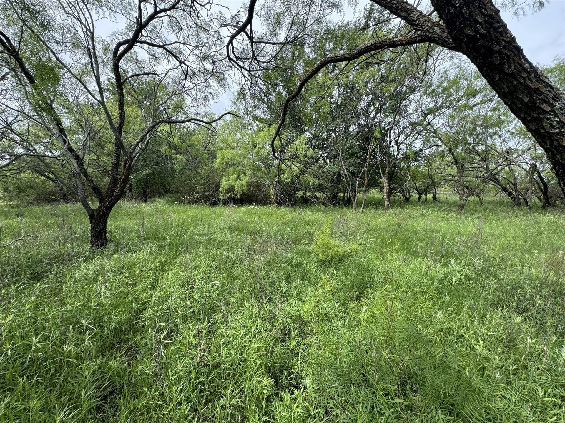 1.51 acres in Wise County - photo 39