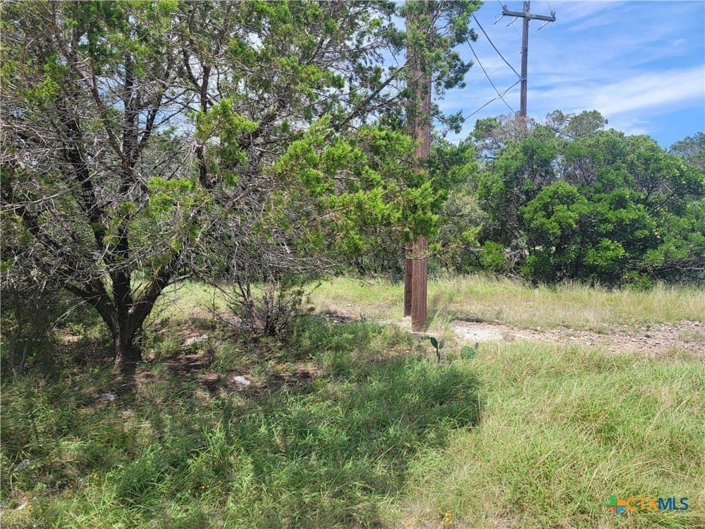 0.33 acres in Bell County gallery image 2