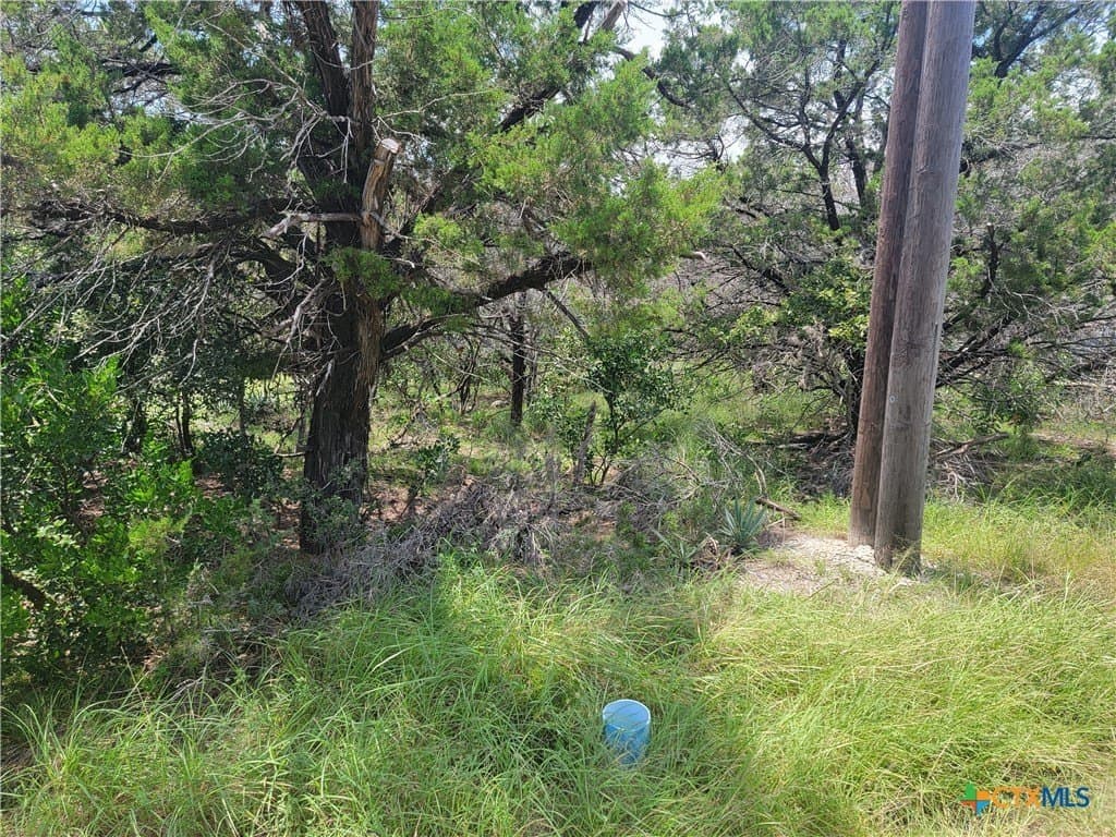 0.33 acres in Bell County featured view