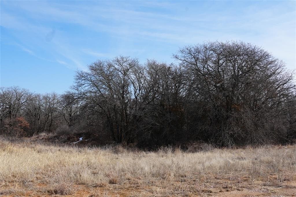 10.37 acres in Eastland County gallery image 4