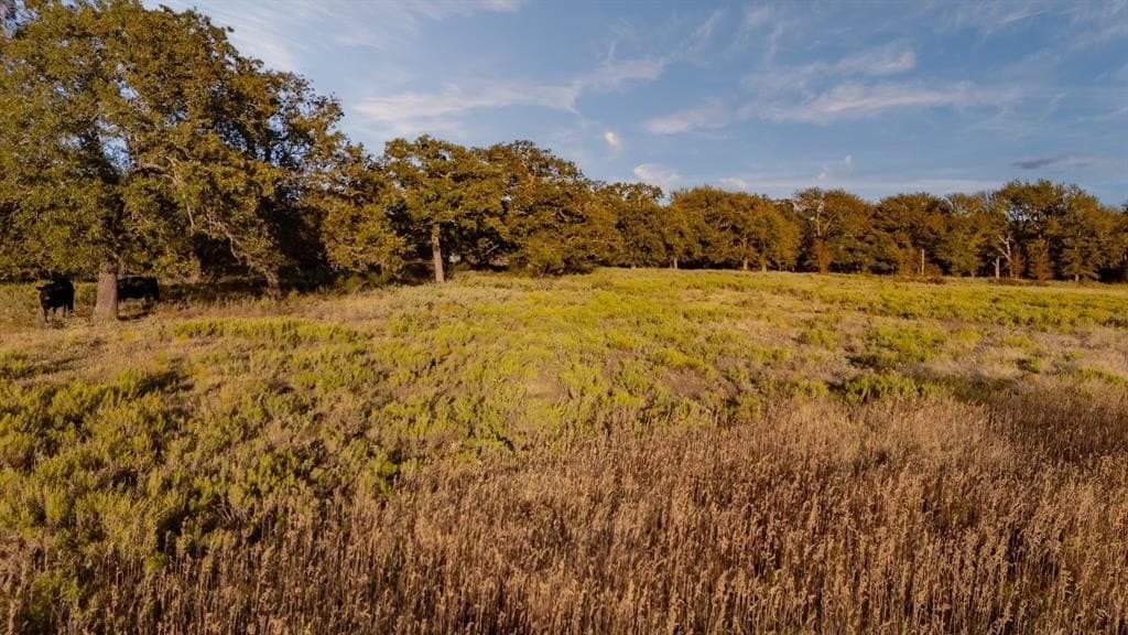 20 acres in Jack County gallery image 3