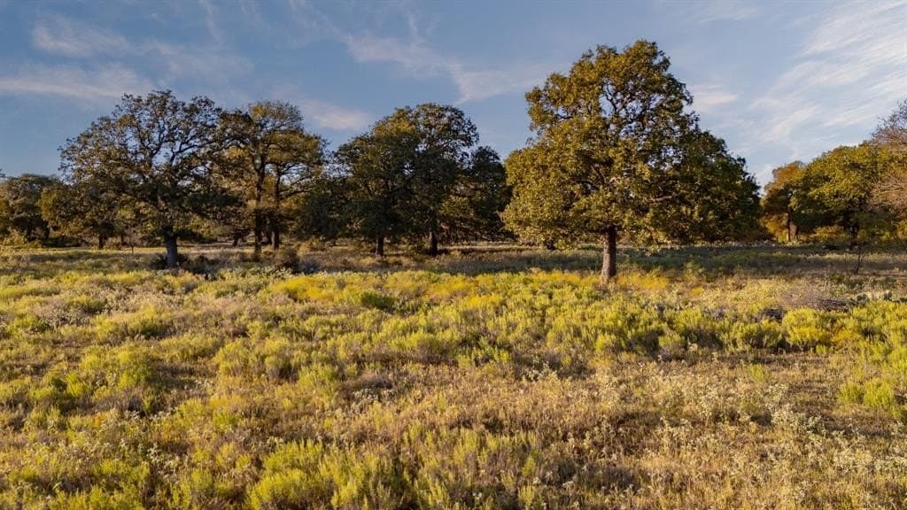 20 acres in Jack County gallery image 2
